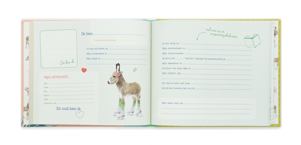 VRIENDENBOEKJE DONKEY WONKEY