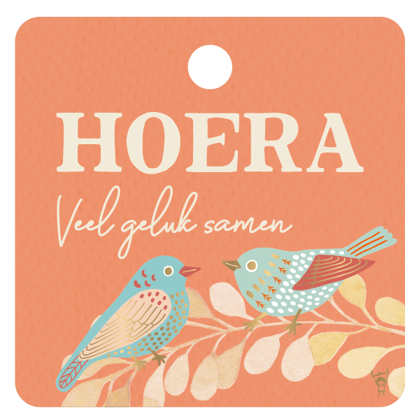 CADEAUKAARTJE - HOERA VEEL GELUK SAMEN