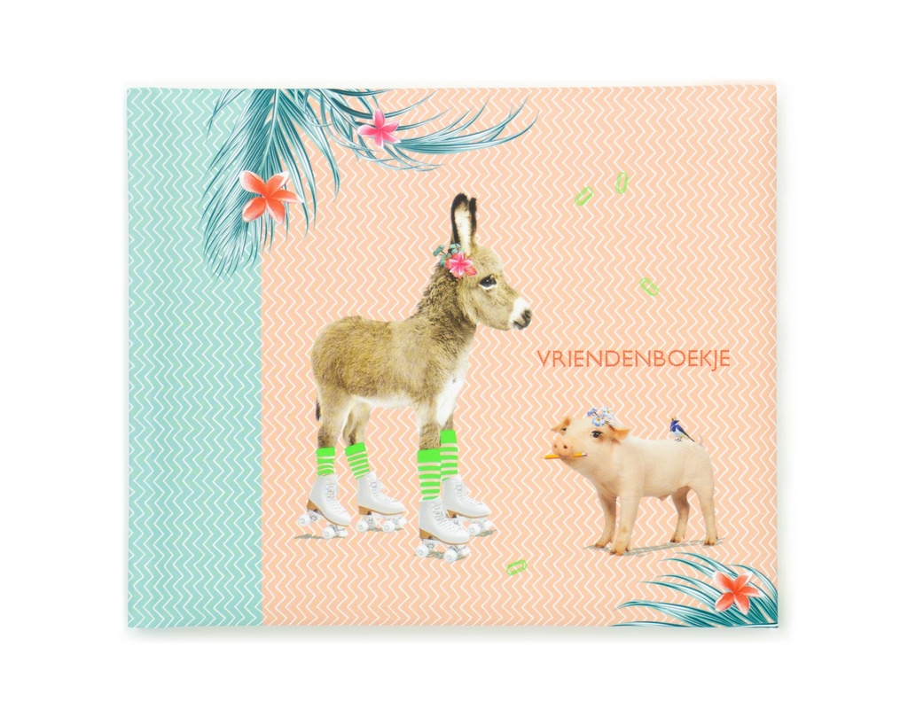 VRIENDENBOEKJE DONKEY WONKEY