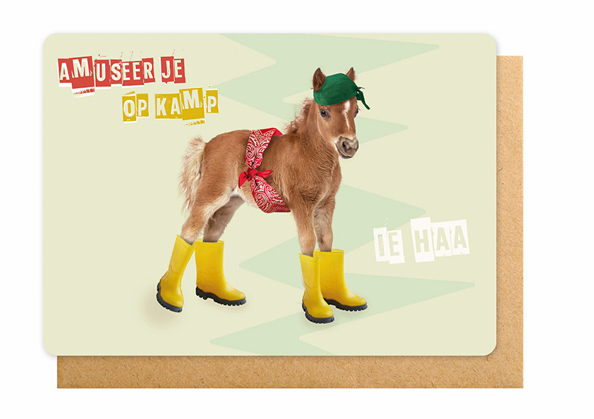 AMUSEER JE OP KAMP