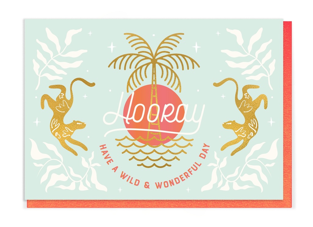 HOORAY - HAVE A WILD & WONDERFUL DAY