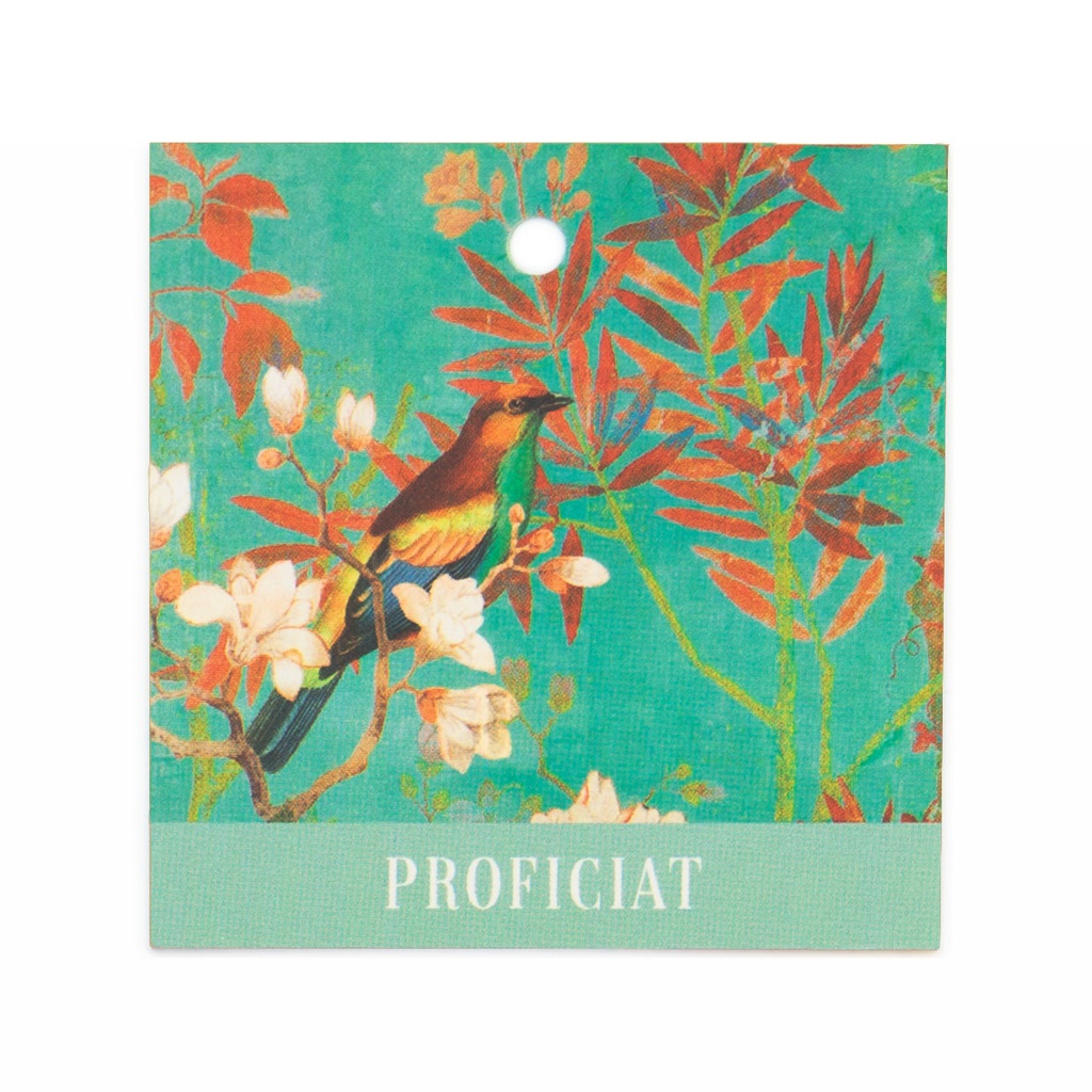 CADEAUKAARTJE BN - PROFICIAT