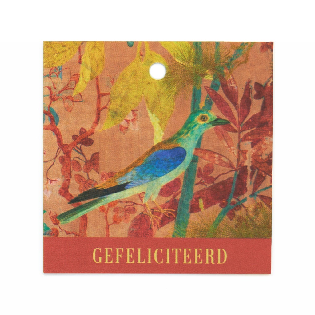 CADEAUKAARTJE BN - GEFELICITEERD