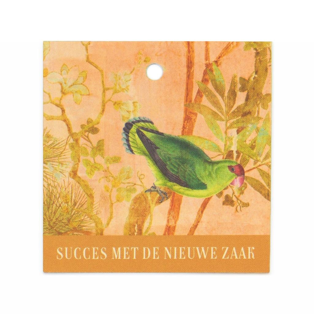 CADEAUKAARTJE BN - SUCCES MET DE NIEUWE ZAAK