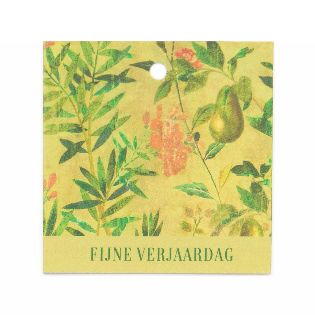 CADEAUKAARTJE BN - FIJNE VERJAARDAG
