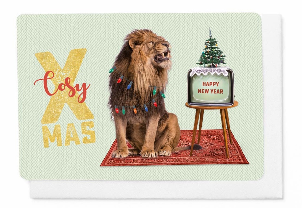 COSY XMAS - HAPPY NEW YEAR