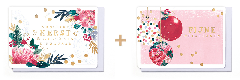BOX OH! DOTTY 01