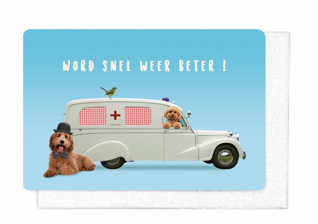 WORD SNEL WEER BETER!