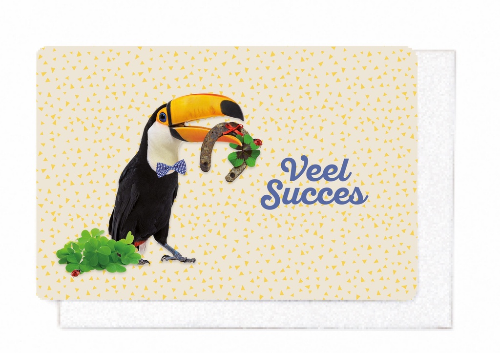 VEEL SUCCES
