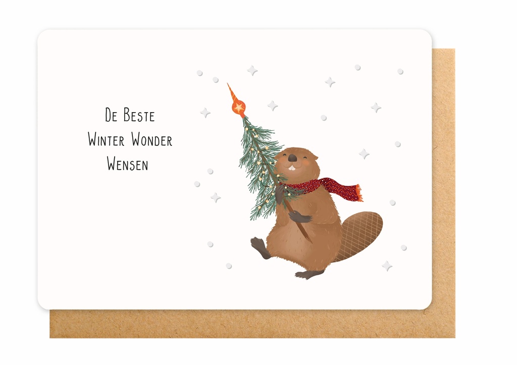 DE BESTE WINTER WONDER WENSEN