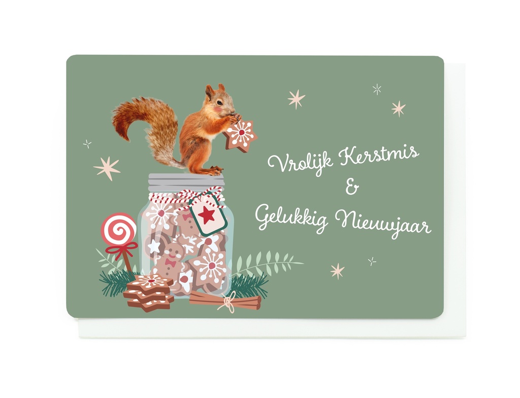 VROLIJK KERSTMIS & GELUKKIG NIEUWJAAR