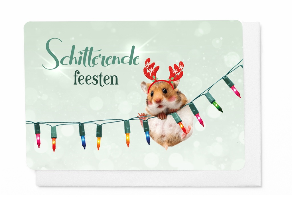 SCHITTERENDE FEESTEN