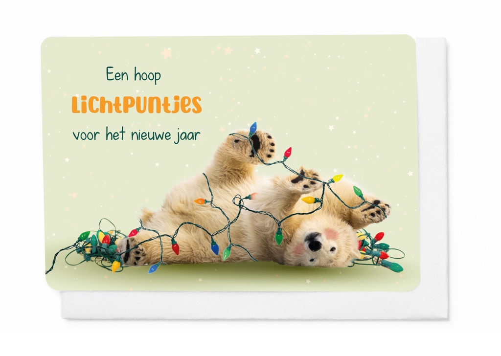 EEN HOOP LICHTPUNTJES VOOR HET NIEUWE JAAR