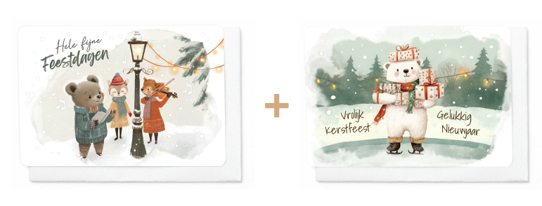 BOX FROSTY FOREST 16