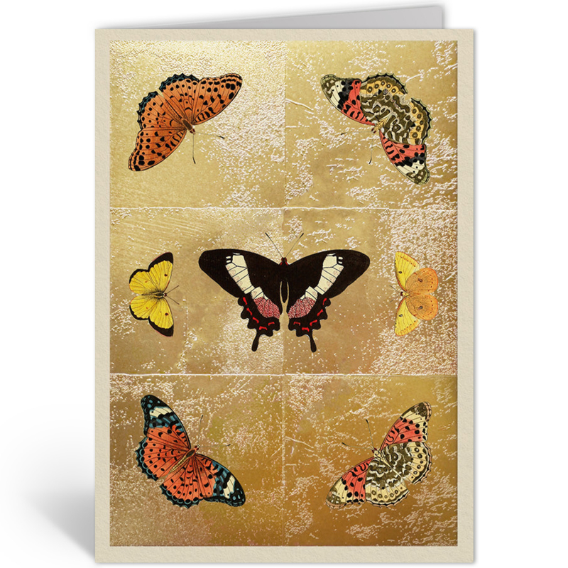 BUTTERFLY SYMMETRY