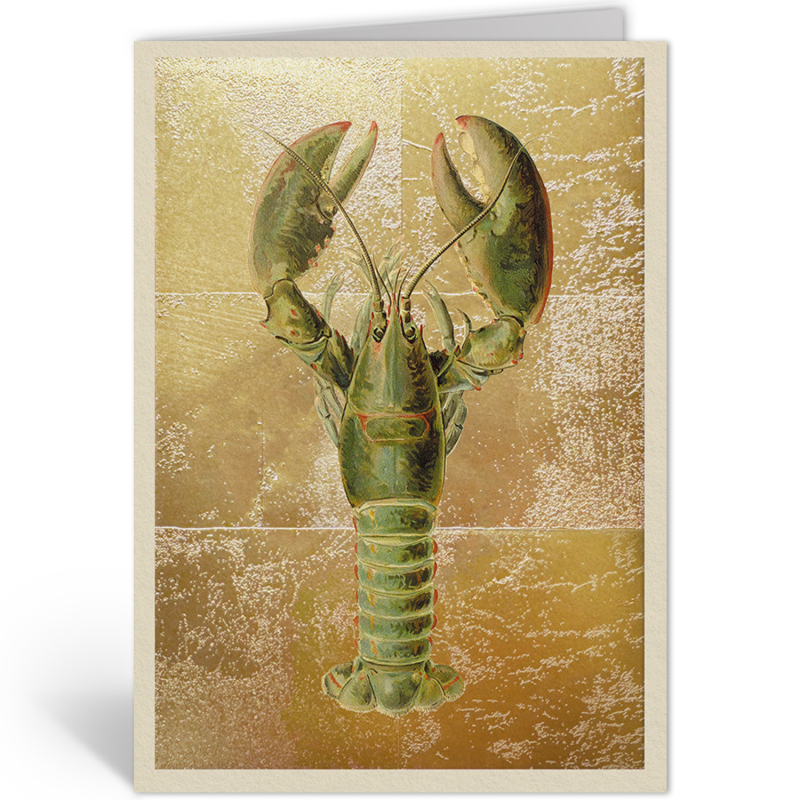 HOMARUS AMERICANUS