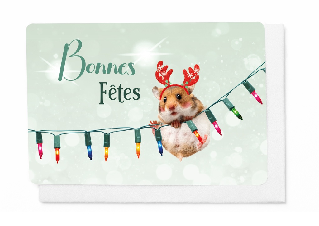 JOYEUX NOËL & BONNE ANNÉE