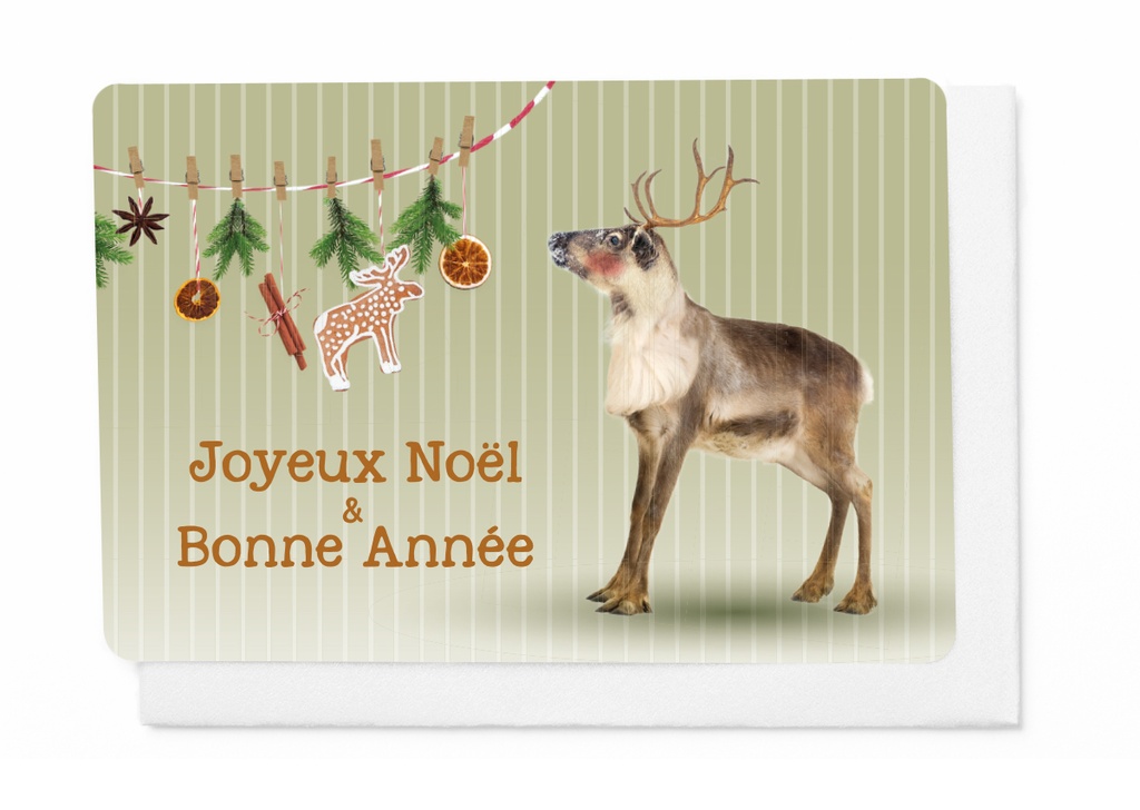JOYEUX NOËL & BONNE ANNÉE