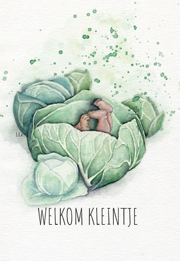 WELKOM KLEINTJE