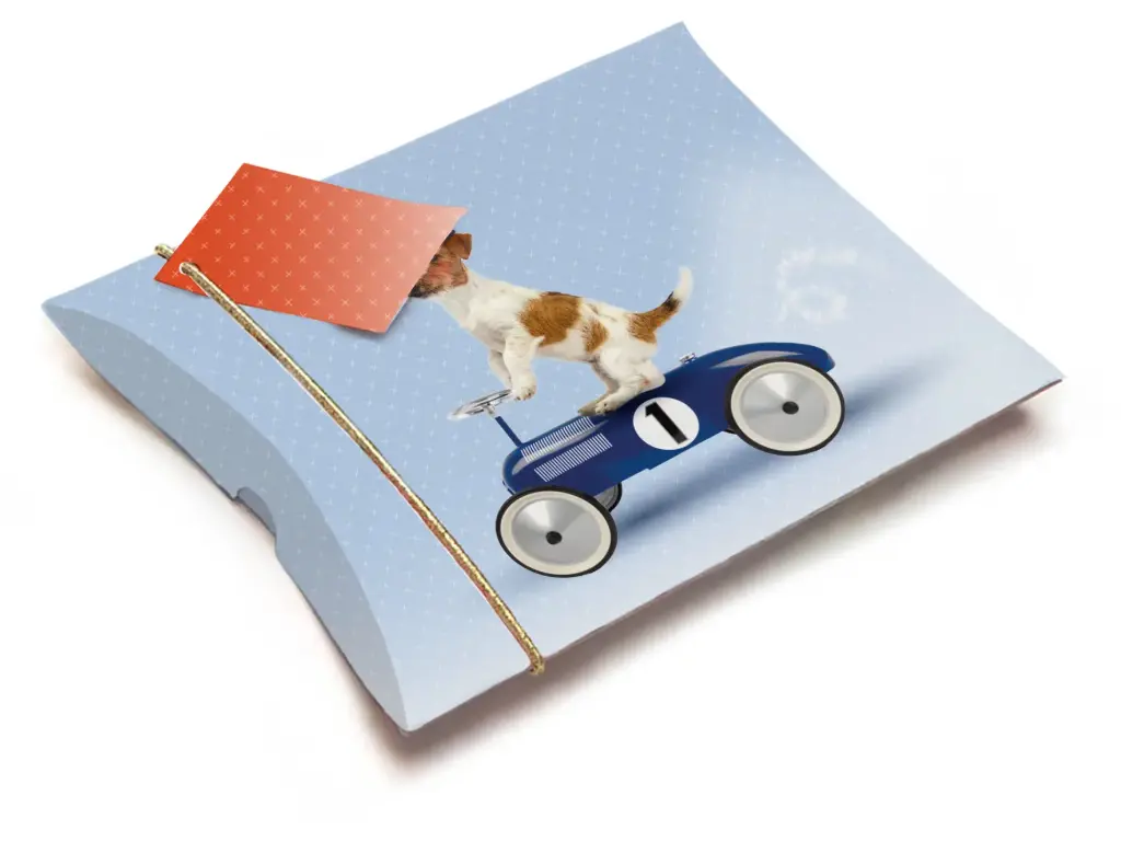 HONDJE OP AUTO