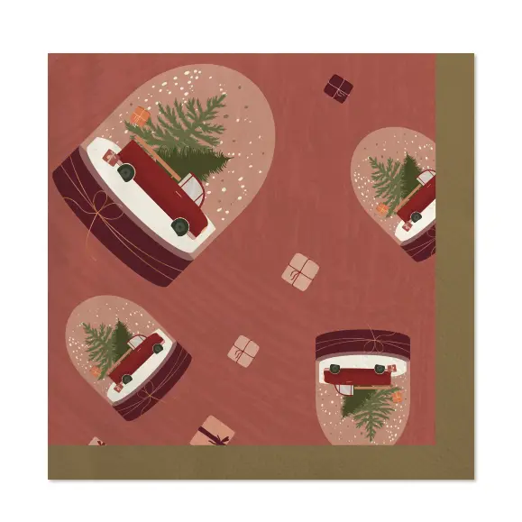 SERVETTEN DOWN TO EARTH KERSTSTOLP