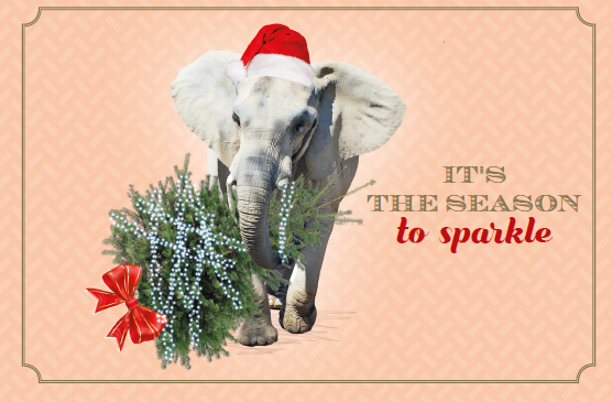 IT'S THE SEASON TO SPARKLE