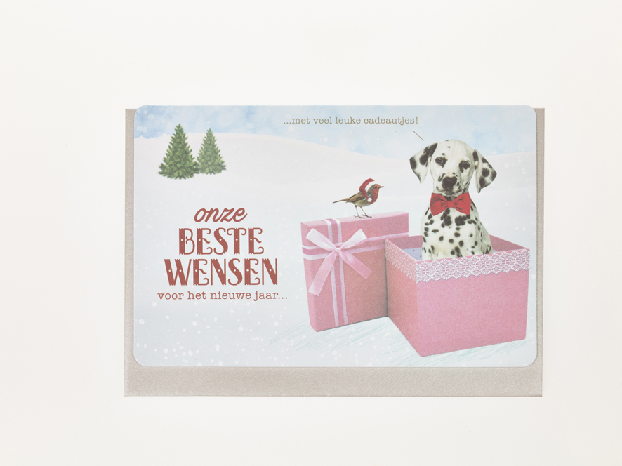 ONZE BESTE WENSEN VOOR HET NIEUWE JAAR