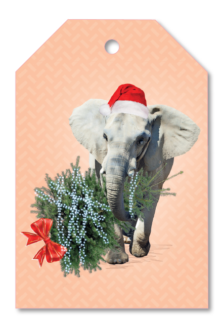 GIFTTAG ELEPHANT