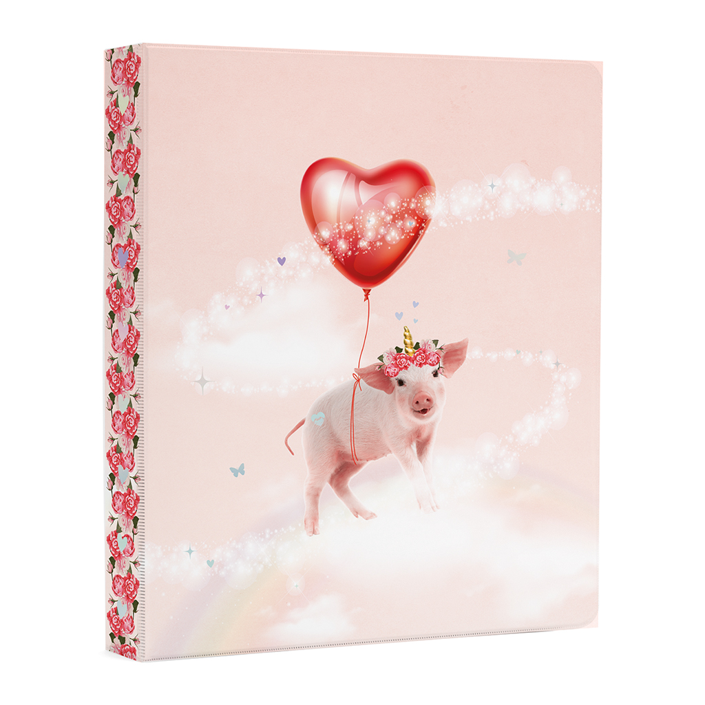 RINGBINDER A4 PP RAINBOW