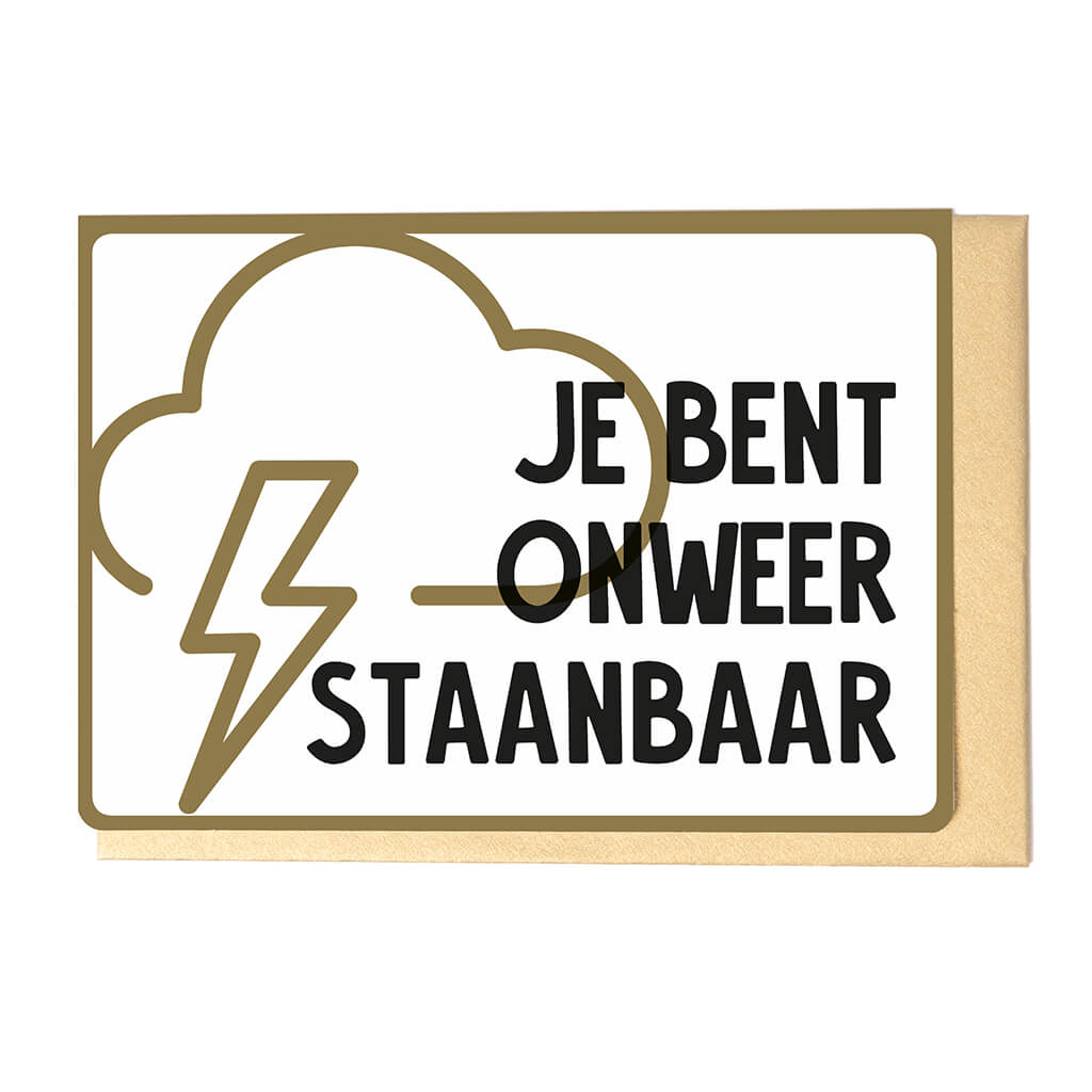 JE BENT ONWEERSTAANBAAR