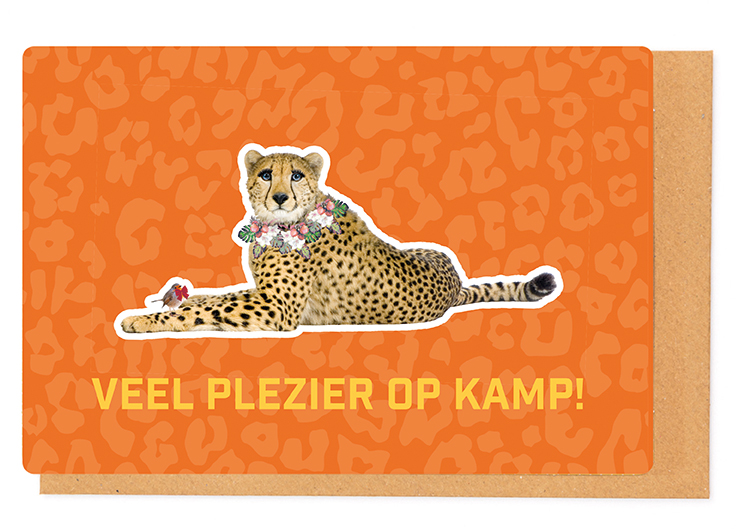 VEEL PLEZIER OP KAMP