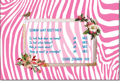 SCHRAP WAT NIET PAST