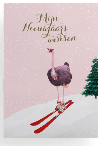 MIJN NIEUWJAARSWENSEN 