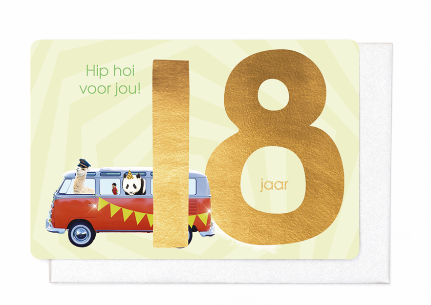 18 JAAR