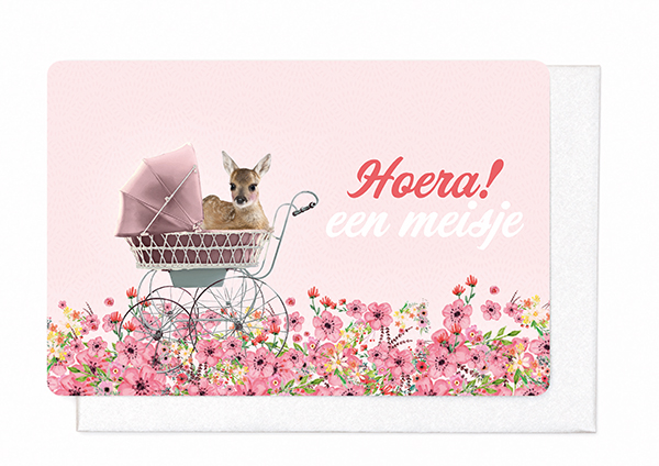 HOERA! EEN MEISJE!