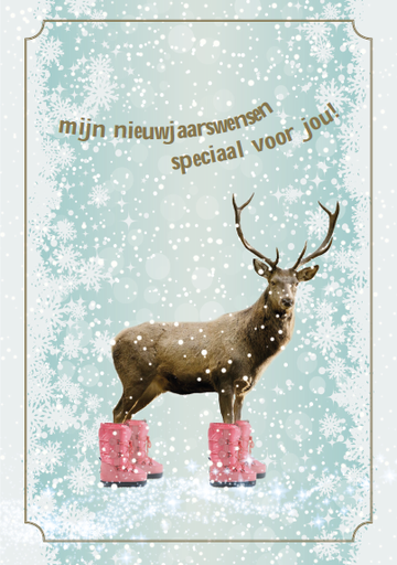 [NB116] MIJN NIEUWJAARSWENSEN  