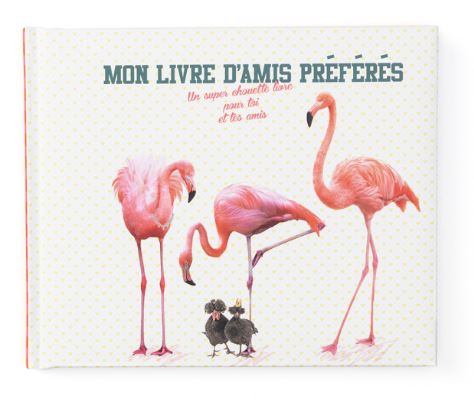 [VB0223] Livre d'amis Flamingo
