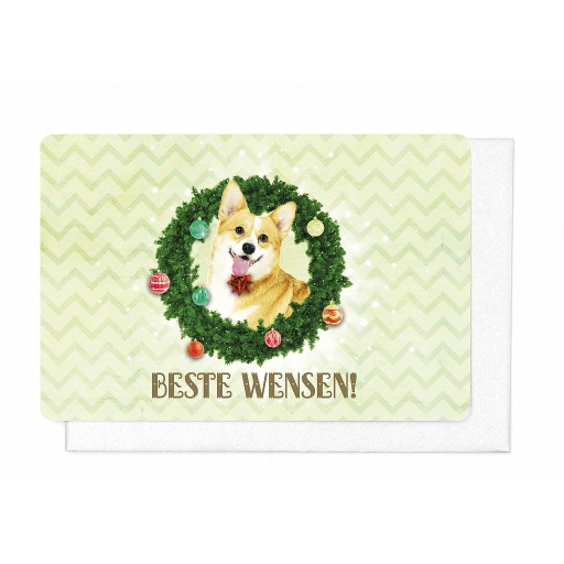 [KP282] BESTE WENSEN!