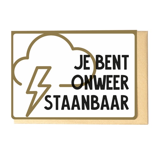 [SV3325] JE BENT ONWEERSTAANBAAR