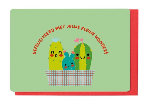 [FF2780] GEFELICITEERD MET JULLIE KLEINE WONDER