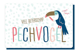 [1PP6029] VEEL BETERSCHAP PECHVOGEL