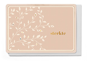 [LM6215] STERKTE