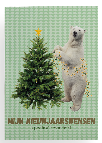 [NB130] MIJN NIEUWJAARSWENSEN 