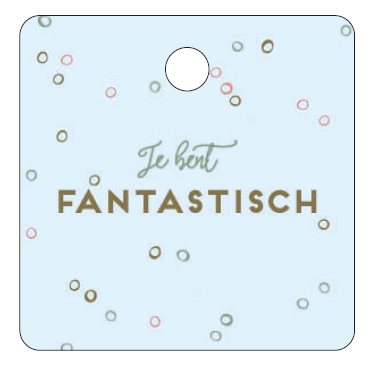 [MBB16] CADEAUKAARTJE - JIJ BENT FANTASTISCH