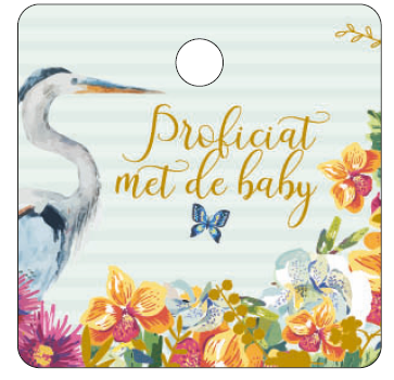 [MFB11] CADEAUKAARTJE - PROFICIAT MET DE BABY