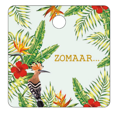 [MFB15] CADEAUKAARTJE - ZOMAAR