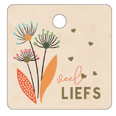 [MSC08] CADEAUKAARTJE - VEEL LIEFS
