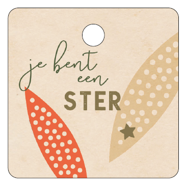 [MSC16] CADEAUKAARTJE - JIJ BENT EEN STER