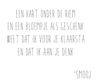 [MS05] CADEAUKAARTJE - HART ONDER DE RIEM