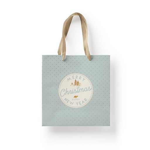 [GB01 25X25] GIFT BAG 01BB 25 X 25 CM